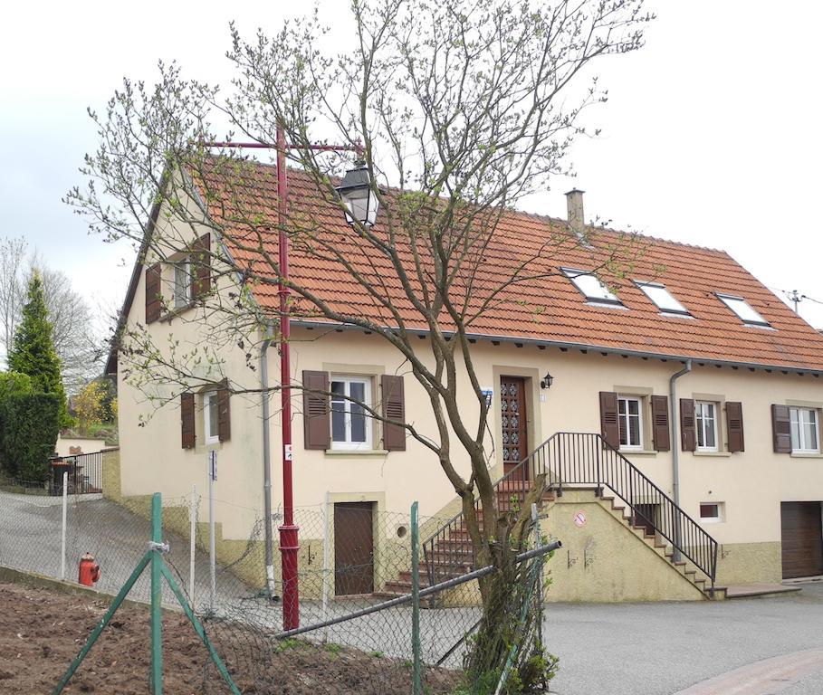 Au Pied Du Chateau Lichtenberg Phòng bức ảnh