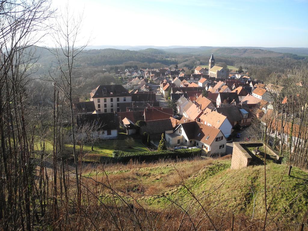 Au Pied Du Chateau Lichtenberg Phòng bức ảnh